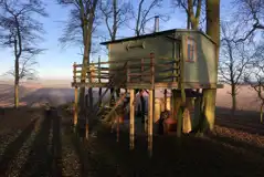 The Treehouse at Dale Farm Holidays