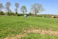 Grass Paddock Pitches at Dean House Campsite
