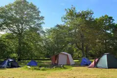 Non Electric Grass Pitches at Aldenham Country Park