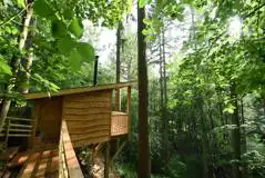 Treetop Cabin at Redwood Valley
