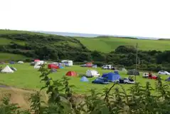 Grass Camping Pitches at Oasis Camping