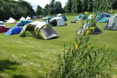 Upper Meadow Non Electric Grass Tent Pitches at Whitlingham Broad Campsite