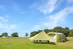 Grass Pitches at Star Field Camping and Glamping