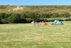 Grass Pitches at White Horse Campsite