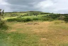 Wild Pitches at Henbant Permaculture Farm and Campsite