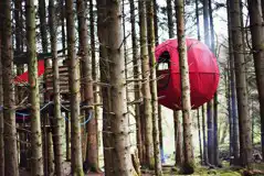 Dragon's Egg at Red Kite Tree Tents