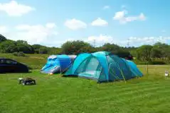 Non Electric Grass Pitches at Covert Farm Camping