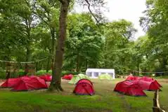 Grass Tent Pitches at Umberslade Adventure