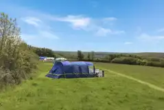 Non Electric Grass Tent Pitches at South Town Camping