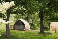 The Wheatley's Pod Cabin at Langley Dam Glamping