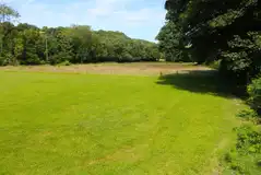 Electric grass pitches