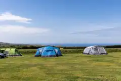 Non Electric Grass Pitches at Wideacres Camping