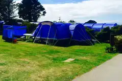 T Field Grass Electric Tent Pitches  at Perran Quay Touring Park