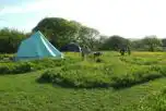 Non Electric Grass Camping Pitches at Bakesdown Farm Camping