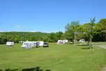 Electric Grass Pitches at Clent Hills Camping and Caravanning Club Site