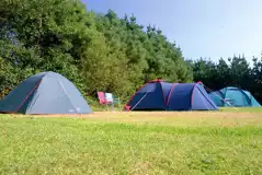 Electric grass tent pitches