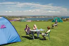 Small Non Electric Grass Pitches at Greenways of Gower Premier Leisure Park
