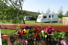 Electric Grass Pitches at Cefn Cae Camping and Caravanning Club Site