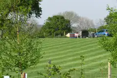 Non Electric Grass Pitches at Cefn Cae Camping and Caravanning Club Site