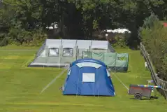 Electric Grass Pitches at Woodlands Grove Caravan and Camping Park