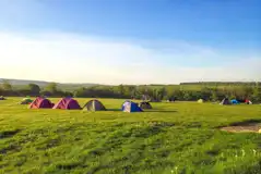 Non Electric Grass Pitches at Mandale Campsite