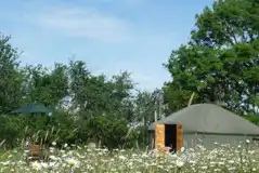 Yurts at Suffolk Yurt Holidays
