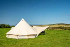 Wild grass camping pitches