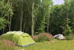 Electric Woodland Camping Pitches at New Farm Holidays
