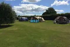 Grass Tent Pitches at Ross Park Caravan Park