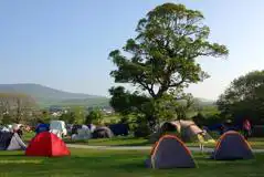 Electric Grass Pitches at Glenlough Campsite