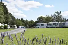 Electric Hardstanding Pitches at Barley Meadow Touring Park