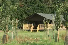 Serengeti Safari Tent Lodges at The Hideaway Norfolk Coast Glamping