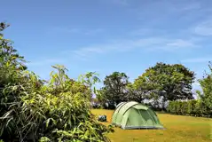 Non Electric Grass Pitches at Cosy Camping Suffolk