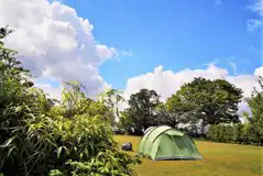 Non Electric Grass Pitches at Cosy Camping Suffolk
