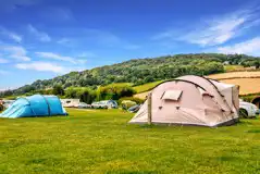 Small Non Electric Grass Pitches at Middlewood Farm Holiday Park