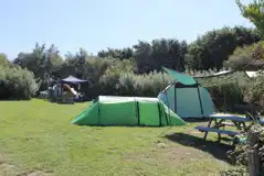 Non Electric Grass Tent Pitches at Mill Haven Place