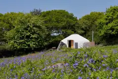 Ash Field Yurt And Pod at Cornish Yurt Holidays