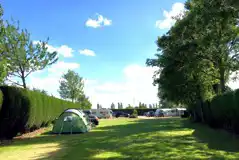 Electric Grass Pitches at Delph Bank Touring Park