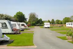 Electric Hardstanding Pitches at Country Meadow Caravan Park