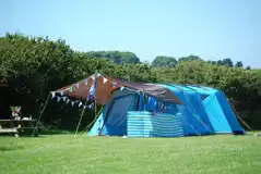 Meadow Camping Pitches at Ty Parke Farm Camping