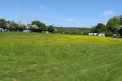 Electric Strawberry Field Pitches at Dunn Street Farm