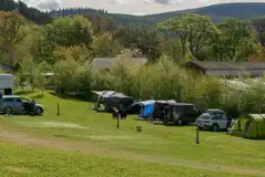 Non Electric Grass Tent Pitches at Glentress Forest Lodges