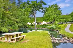 Bell tents by the Nantcol River