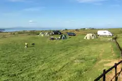 Non Electric Grass Tent Pitches at Hen Siop y Mynydd