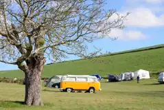 Non Electric Grass Pitches at Housedean Farm Campsite