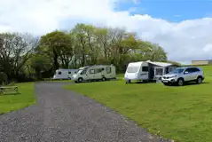 Barn Owl Electric Grass Pitches at Blagdon Farm