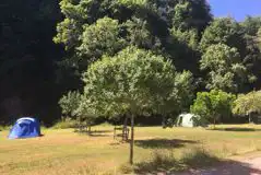 Grass Meadow Pitches at Priory Mill Farm