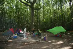 Non Electric Woodland Pitches at Badgells Wood Camping