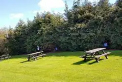 Non Electric Grass Pitches at Feughside Caravan Park