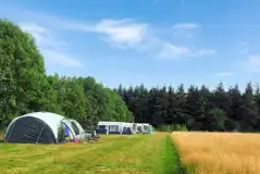 Meadow Camping Pitches at Top of the Woods